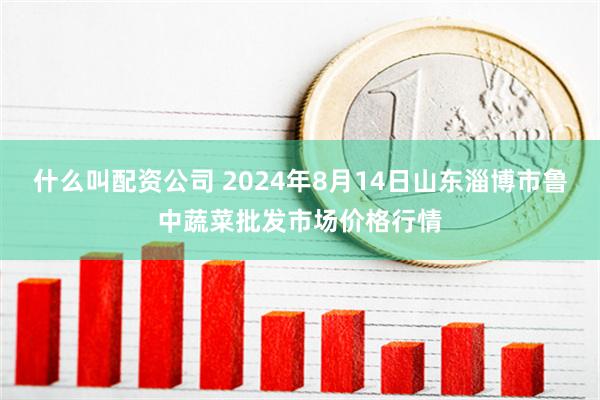 什么叫配资公司 2024年8月14日山东淄博市鲁中蔬菜批发市场价格行情