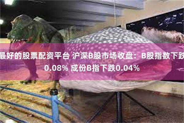 最好的股票配资平台 沪深B股市场收盘：B股指数下跌0.08% 成份B指下跌0.04%