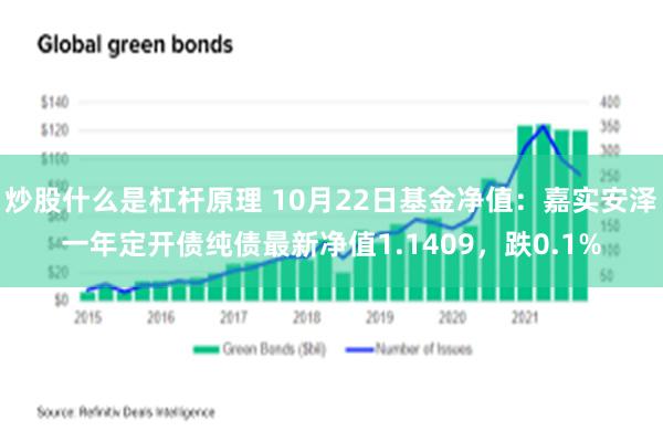 炒股什么是杠杆原理 10月22日基金净值：嘉实安泽一年定开债纯债最新净值1.1409，跌0.1%