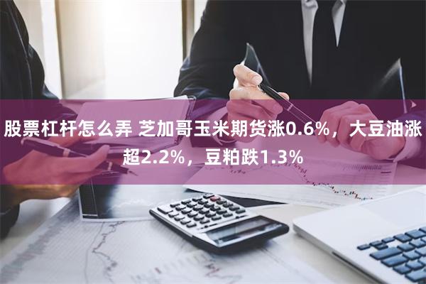 股票杠杆怎么弄 芝加哥玉米期货涨0.6%，大豆油涨超2.2%，豆粕跌1.3%