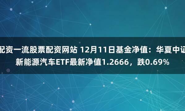 配资一流股票配资网站 12月11日基金净值：华夏中证新能源汽车ETF最新净值1.2666，跌0.69%