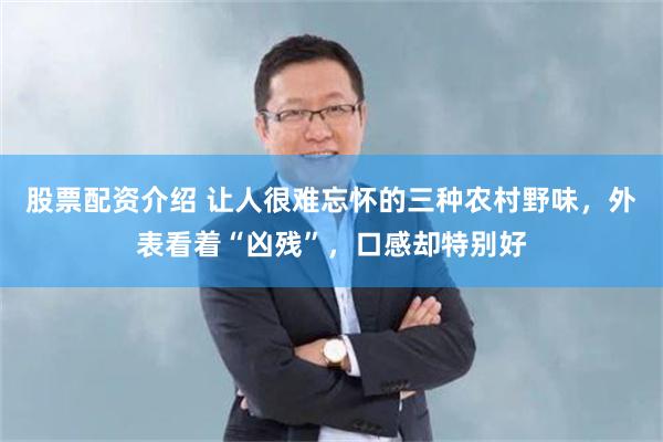 股票配资介绍 让人很难忘怀的三种农村野味，外表看着“凶残”，口感却特别好