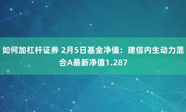 如何加杠杆证券 2月5日基金净值：建信内生动力混合A最新净值1.287