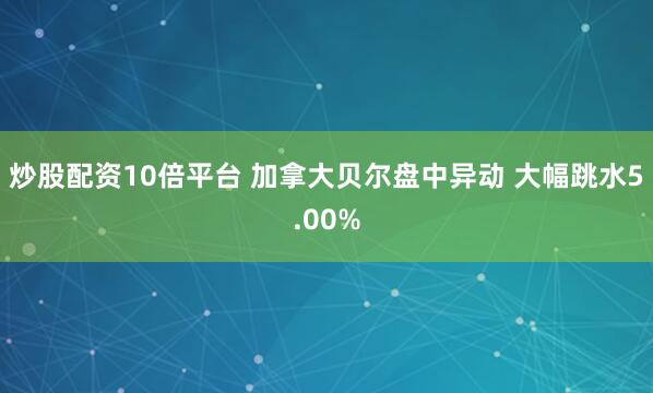 炒股配资10倍平台 加拿大贝尔盘中异动 大幅跳水5.00%