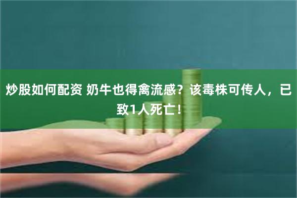 炒股如何配资 奶牛也得禽流感？该毒株可传人，已致1人死亡！