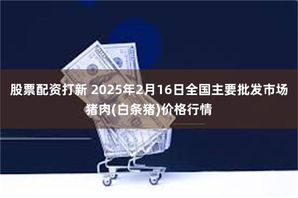 股票配资打新 2025年2月16日全国主要批发市场猪肉(白条猪)价格行情