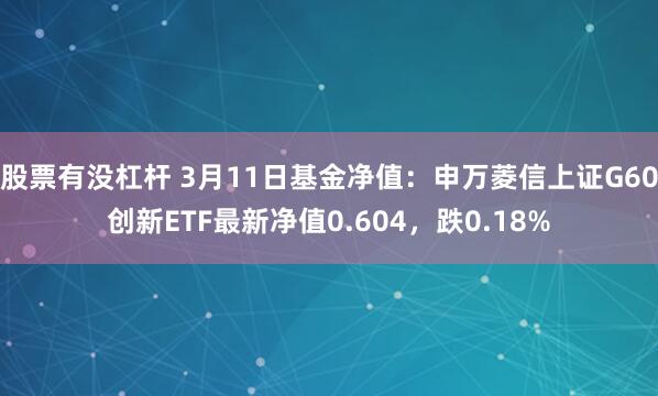 股票有没杠杆 3月11日基金净值：申万菱信上证G60创新ETF最新净值0.604，跌0.18%