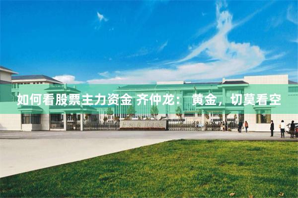 如何看股票主力资金 齐仲龙： 黄金，切莫看空